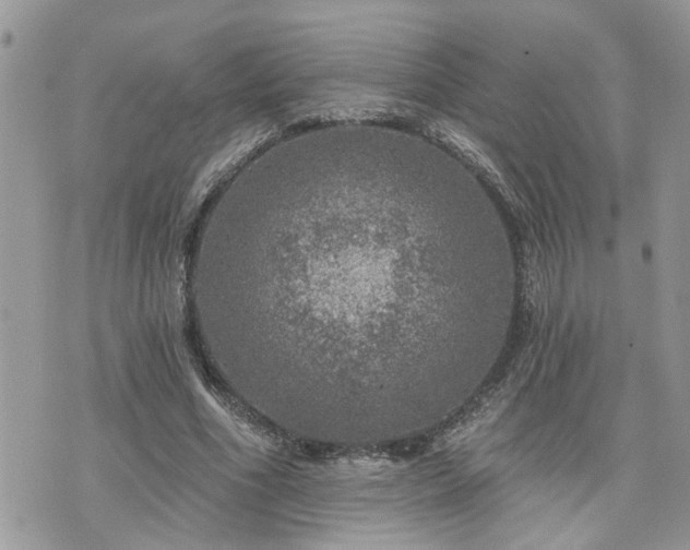 X0000076300586200609291038