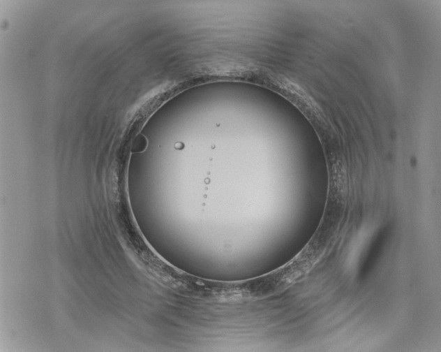 X0000076300587200609291038