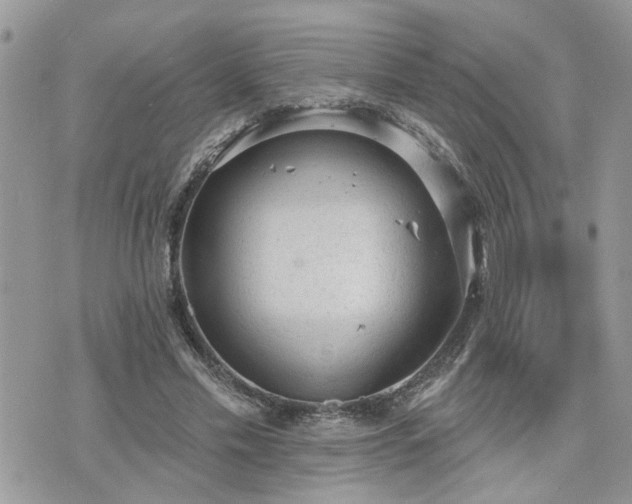 X0000076300589200609291038