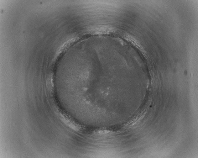 X0000076300590200609291038