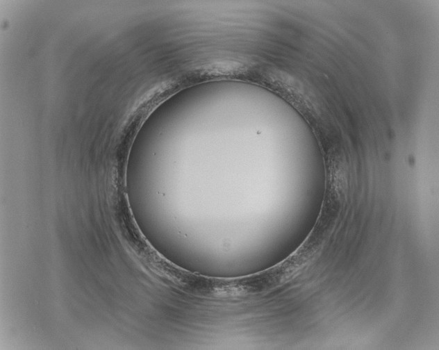 X0000076300591200609291038