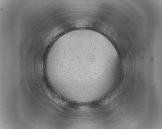 X0000076300592200609291037