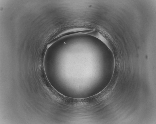 X0000076300593200609291037