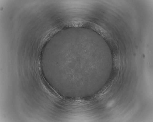 X0000076300594200609291037