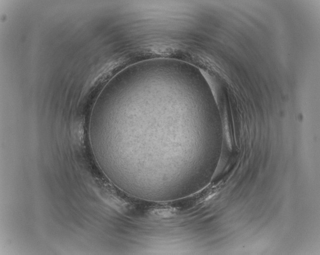 X0000076300595200609291037