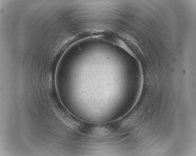 X0000076300596200609291037