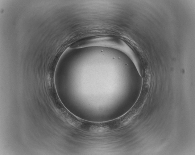 X0000076300597200609291037