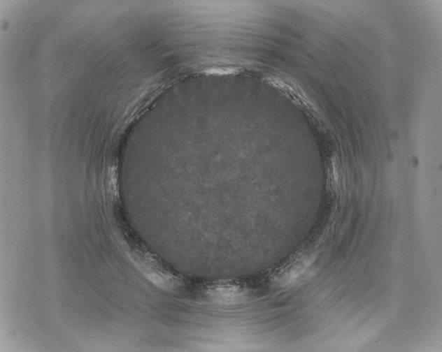 X0000076300598200609291037