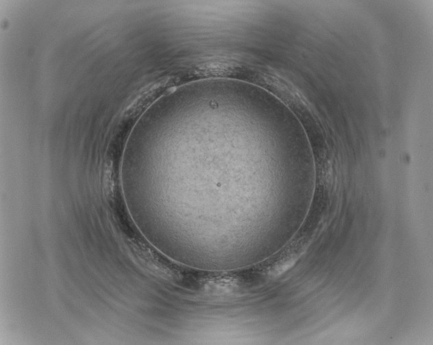 X0000076300599200609291037