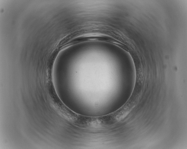 X0000076300600200609291037