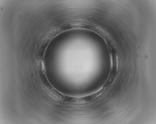 X0000076300601200609291037