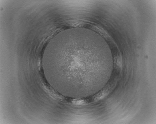 X0000076300602200609291037