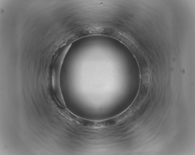 X0000076300604200609291037