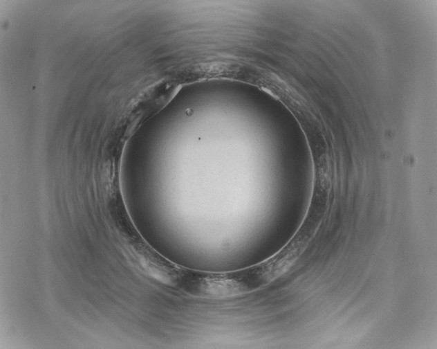 X0000076300605200609291037