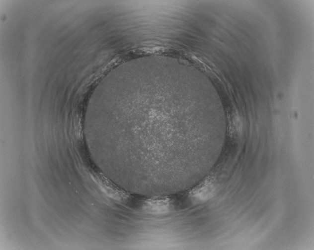 X0000076300606200609291037