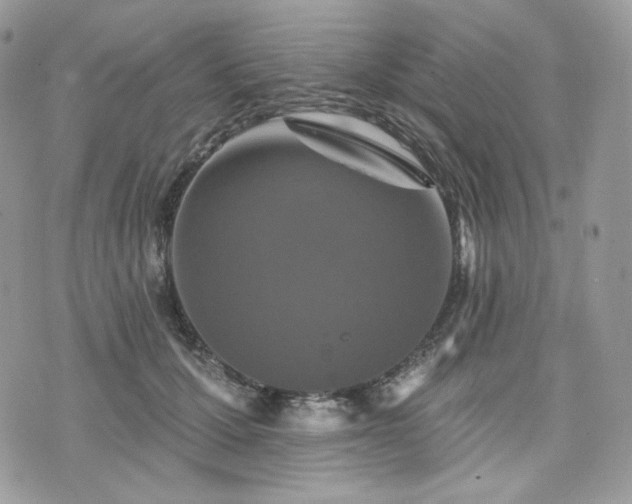 X0000076300607200609291037