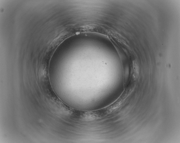 X0000076300608200609291037