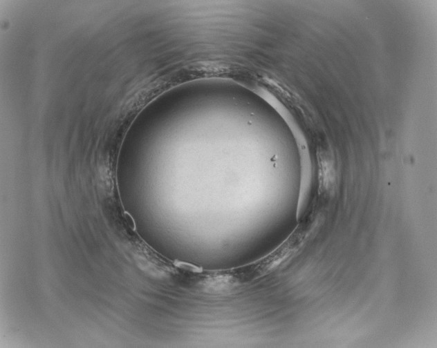 X0000076300609200609291037