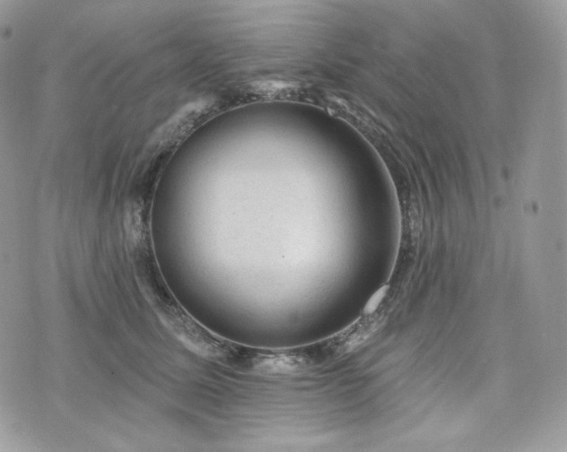 X0000076300611200609291037