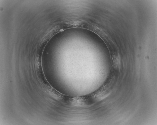 X0000076300612200609291037