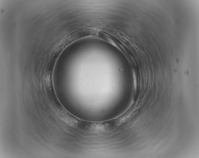 X0000076300613200609291037