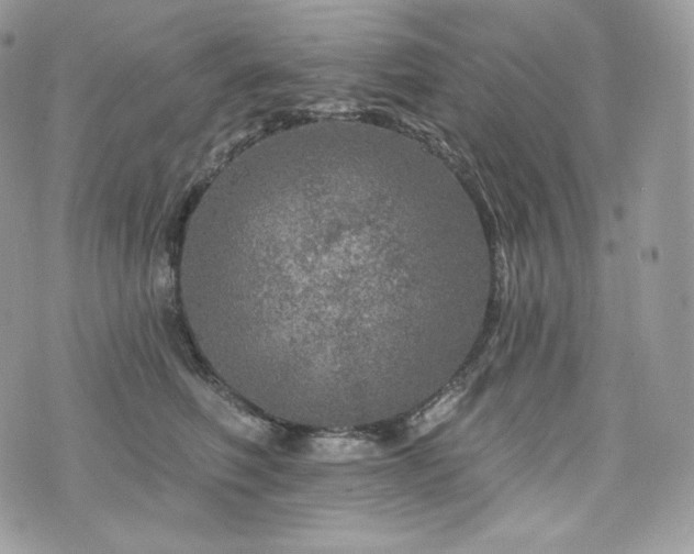 X0000076300614200609291037