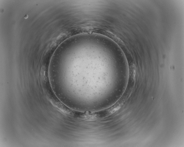 X0000076300615200609291037