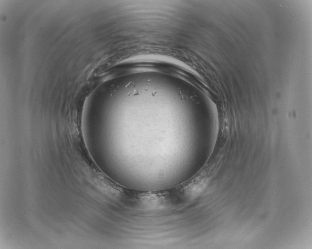 X0000076300616200609291037