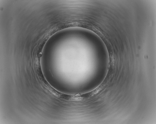 X0000076300617200609291037