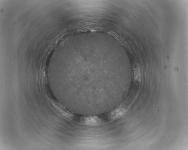 X0000076300618200609291037