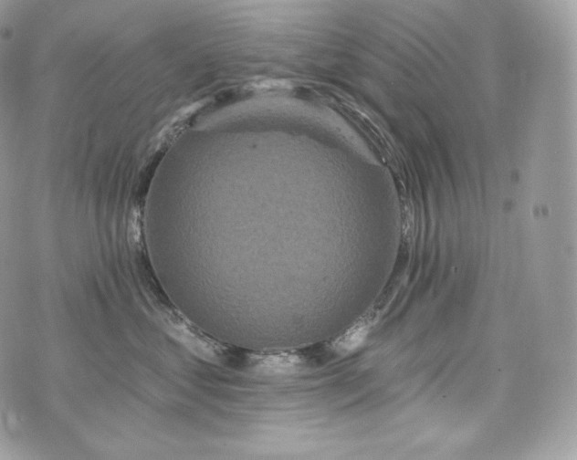 X0000076300621200609291037