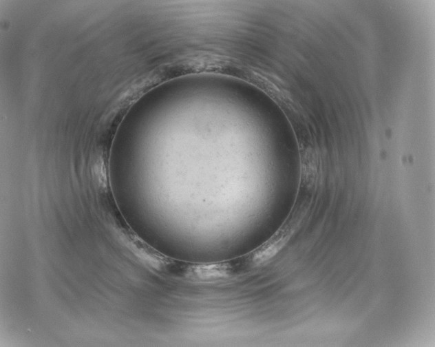 X0000076300622200609291037