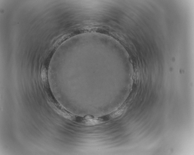 X0000076300623200609291037