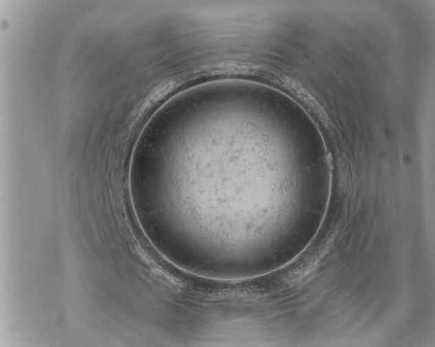 X0000076300625200609291036