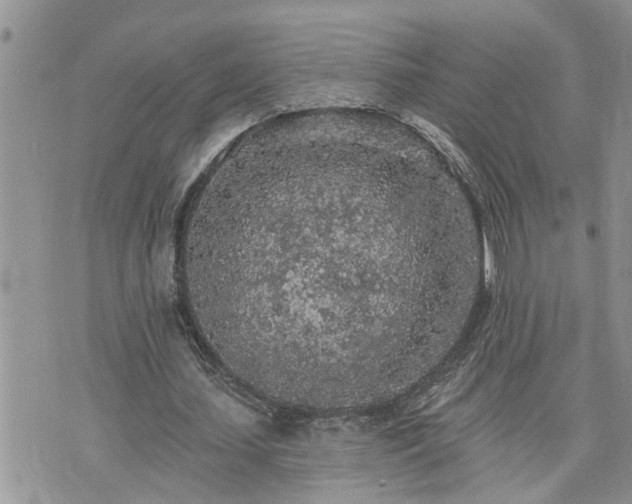 X0000076300627200609291036