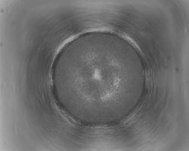 X0000076300628200609291036