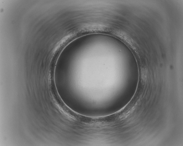 X0000076300629200609291036