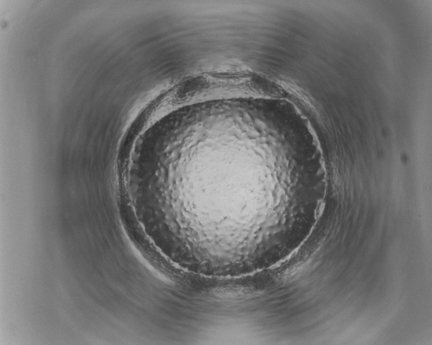 X0000076300630200609291036