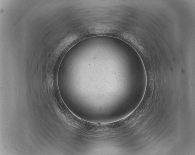 X0000076300631200609291036