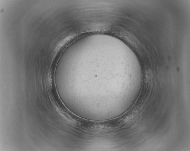 X0000076300632200609291036