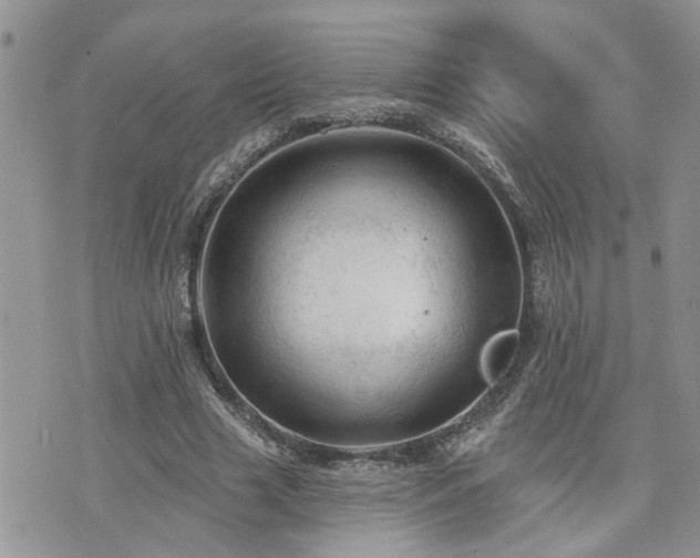 X0000076300633200609291036