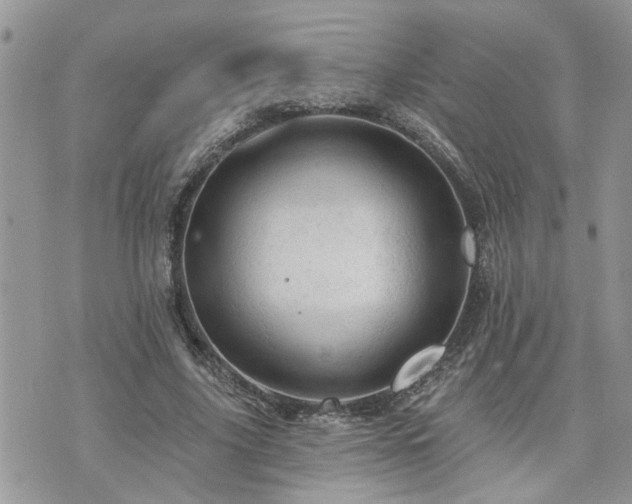 X0000076300635200609291036