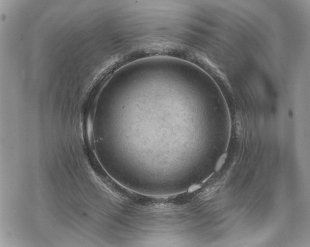 X0000076300637200609291036