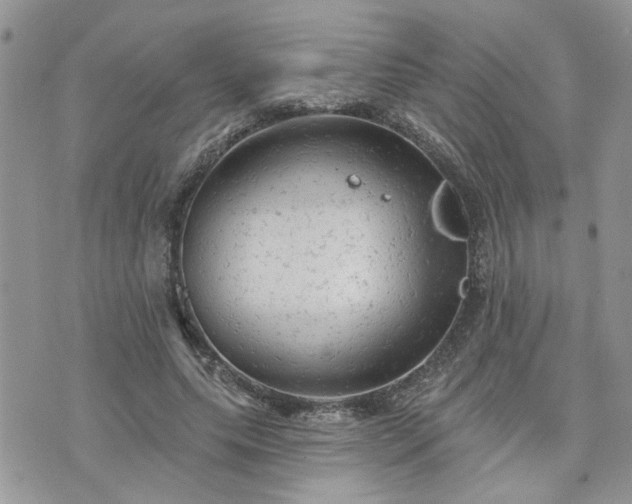 X0000076300639200609291036