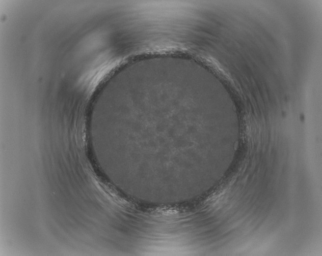 X0000076300640200609291036