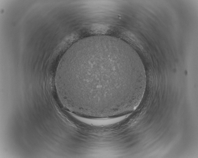 X0000076300641200609291036