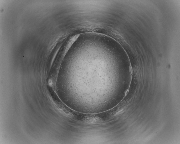 X0000076300642200609291036