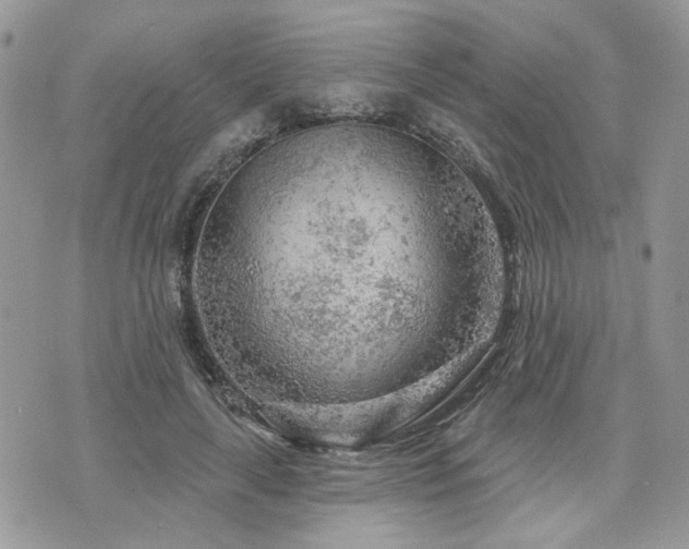 X0000076300643200609291036