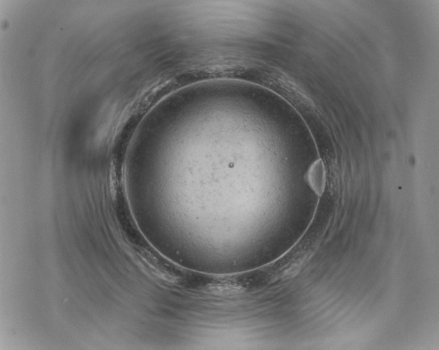 X0000076300644200609291036