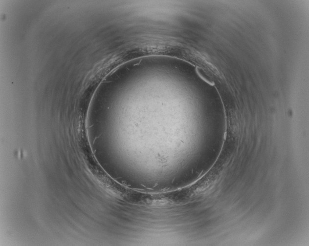 X0000076300645200609291037